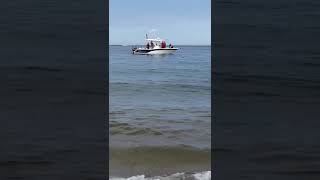 Watch as shark swims off Cape Cod shore within 10 feet of Race Point Beach in Provincetown [upl. by Gigi]