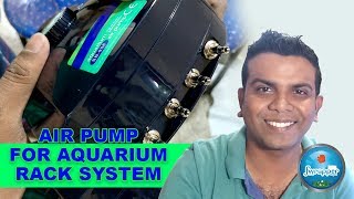 Air Pump For Multiple Fish Tank and Aquarium Rack System [upl. by Ilagam514]