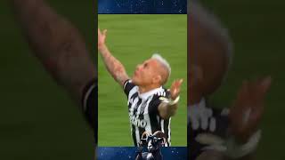 QUE FINAL MEUS AMIGOS libertadores copalibertadores botafogo atleticomineiro futebolarte [upl. by Torre596]