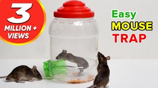 Easy Mouse Trap  DIY Mouse Trap  Rat Trap Homemade  HOW to MAKE MOUSE TRAP [upl. by Noivaz]