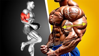 6 Best Exercise for Biceps and Triceps at Gym [upl. by Bonnice]