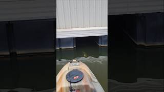 Spotted Bass Inhales Chatterbait on Lake Lanier [upl. by Norling185]