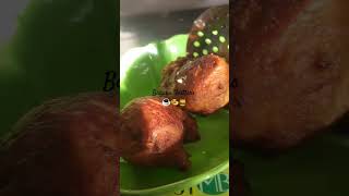 Banana Fritters ☕️🥯🍯eveningsnacks bananarecipe youtubeshorts asheevlogs [upl. by Lati]