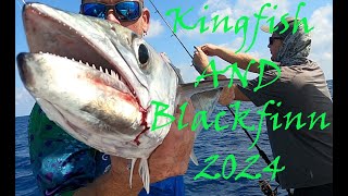 2024 Fall Kingfish season Blackfin tuna Red snapper [upl. by Akeimahs906]