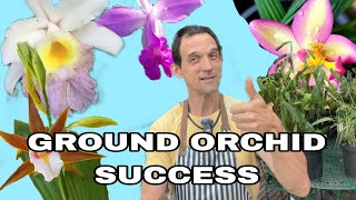 The Basics of ground orchids Success [upl. by Aseral]