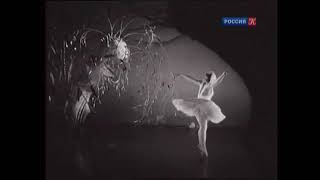 27 Galina Ulanova Dying Swan 1941 [upl. by Stead110]