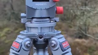 How I use my Rogeti gear head and Kingjoy Tripod to compose a woodland scene [upl. by Carper]