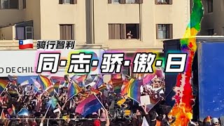 智利的同志狂欢节，你知道熊掌同性恋和狗狗同性恋吗 Lets join the GAY Pride Day in Chile ｜动物同性恋｜大胡子｜变性人｜（SantiagoChile [upl. by Oetam745]