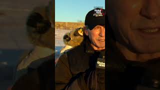 Groundhog Day Manitoba “Merv” makes his weather prediction GroundhogDay Manitoba Canada [upl. by Nnyre]