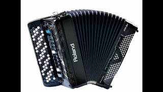 accordeon instrumentaal amsterdamse grachten [upl. by Ardnassak596]