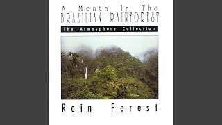 A Month in the Brazilian Rainforest Rain Forest [upl. by Walther]