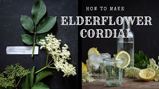 How to Make Elderflower Cordial  Wild Food Recipes [upl. by Warford457]