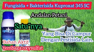 Fungisda  Bakterisida Kuproxat 345 SCTembaga Oksisulfat Yang Bisa Di Mix Dengan Pestisida Lain [upl. by Lacim517]