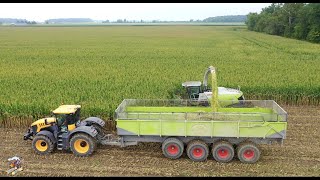 Eastside Dairy Corn Silage Harvest 2020 [upl. by Teresa]