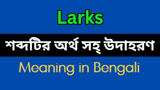 Larks Meaning in BengaliLarks Mane Ki Larks Explain in Bengali [upl. by Airdnekal]