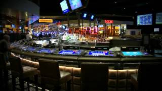 Race amp Sports Book Bar Opening  Caesars Palace Las Vegas [upl. by Cinnamon]