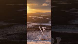 POV Sunset Skiing in Finland [upl. by Nnaeirual]