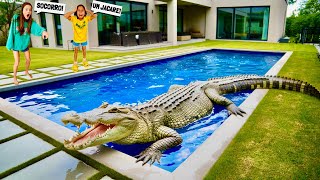 ENCONTRAMOS UM JACARÉ GIGANTE AQUI EM CASA🐊😰 [upl. by Brown]