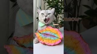 Rainbow Cake amp Strawberry Liqueur🌈🍹 Perfect Dessert Combo 🤩👌 catsofyoutube foodlover tiktok [upl. by Clarice]