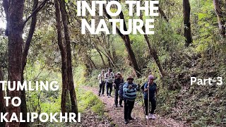 Sandakphu Trek  Tumling to Kalipokhri Trek [upl. by Honan210]