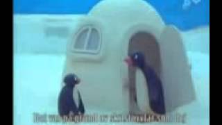 Pingu  Verarsche Schweizer Deutsch [upl. by Netfa802]