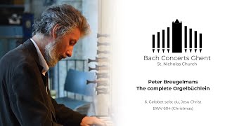 BWV 604  Gelobet seist du Jesu Christ  Peter Breugelmans [upl. by Vaios636]