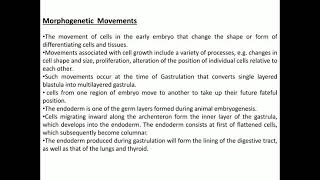 morphogenetic movements [upl. by Nohs]