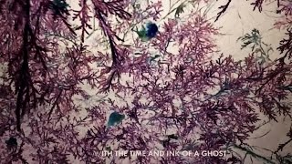 José González  With the Ink of a Ghost Lyric Video [upl. by Sonaj]