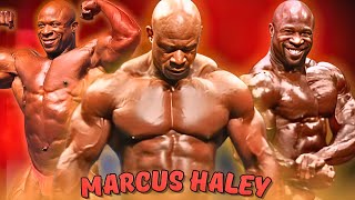 IFBB Professional Bodybuilder  Marcus Haley  The 2010 Mr Olympia  2013 Arnold Classic [upl. by Suirred57]