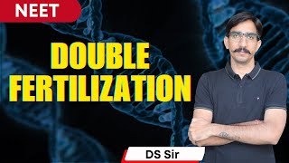 Double fertilization I Reproduction in Flowering Plants I By DS Sir [upl. by Mehalek]