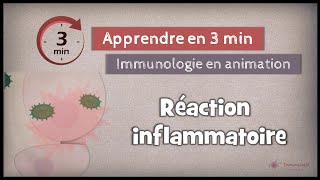 41◽ La réponse inflammatoire I [upl. by Nayhr]