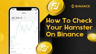 How To Check Your Hamster Balance On Binance [upl. by Nata]