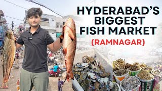 Ramnagar largest fish market 🐠 in Telangana exploringbiggest fish market in Hyderabad [upl. by Jo]