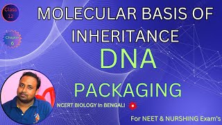 DNA packaging  NEET Harunbiozone [upl. by Lledroc]