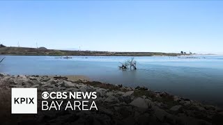 Wetland revival project aims to fight flooding sea level rise [upl. by Am268]