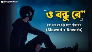 O Bondhu Re SlowedReverb  একা মনে প্রশ্ন শুধুই  Tor Naam  Zubeen Garg  Bong Lofi Music [upl. by Franzen335]