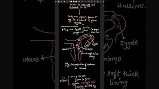 Development of embryo [upl. by Johnna738]