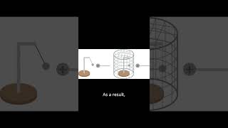 How does faraday cage works [upl. by Nylasor]