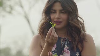 Awesome Assam  TVC featuring Priyanka Chopra  Assam Tourism  ATDC [upl. by Farnham]