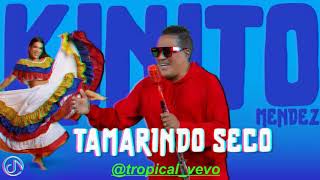 TAMARINDO SECOKINITO MENDEZ MERENGUE 2024 [upl. by Laurianne]