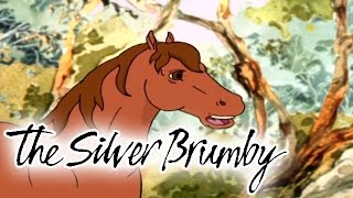 The Silver Brumby 125  Arrow Goes South HD  Full Episode [upl. by Adaline]