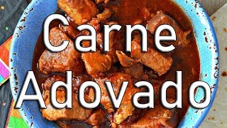 Instant Pot Carne Adovado Recipe 💥💥💥 [upl. by Euqinim]