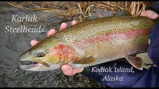 Karluk River Steelhead Fishing 2018 [upl. by Thema408]