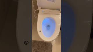 Bidet toto washlet auto open  warm seat warm water and dyer [upl. by Fairweather]