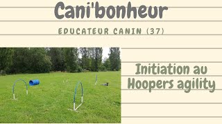 Initiation au Hooper agility à pratiquer avec votre chien [upl. by Hsihsa]