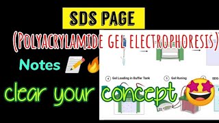 SDS page  polyacrylamide gel electrophoresis  Notes 📝🔥 [upl. by Meil]