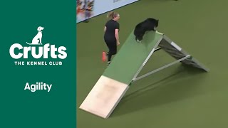 Agility Kennel Club British Open Final Part 3  ​Crufts 2022 [upl. by Sochor540]