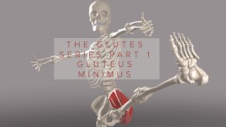 Glutes Series Part 1 Gluteus Minimus 3D Animation [upl. by Vashtee875]