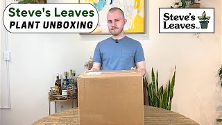 Steves Leaves Unboxing 2023 [upl. by Nnyllaf]