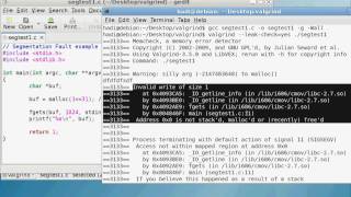 Valgrind  Live Debugging Examples [upl. by Anaynek]